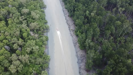 Aerial-view-follow-boat-in-the-river-at-mangrove-swamp.